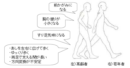 加齢による歩行姿勢の変化